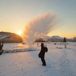 Meet your Posher, Rosy